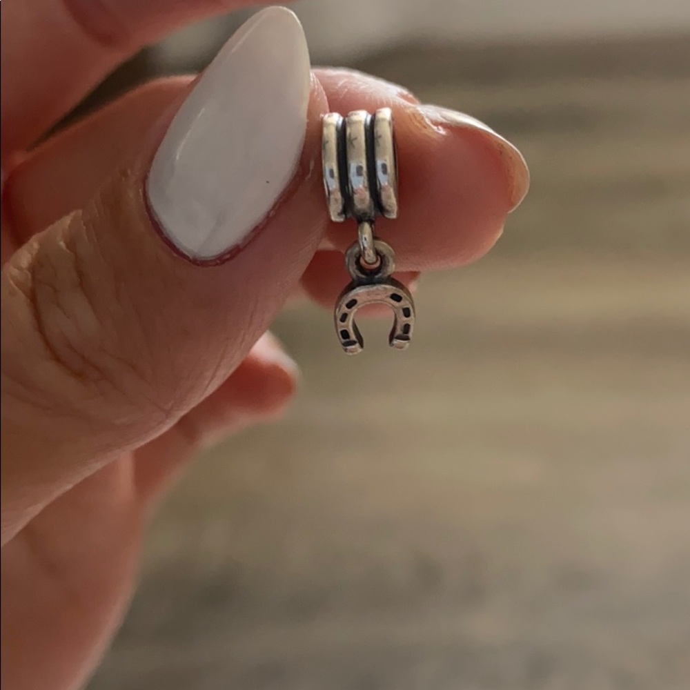 Pandora charm